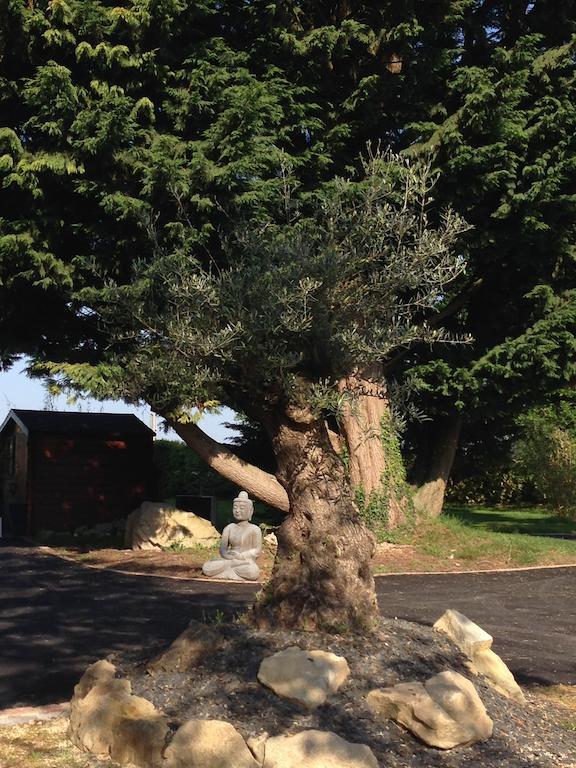 Le Domaine De Saint-Thomin Bed & Breakfast Nostang Luaran gambar